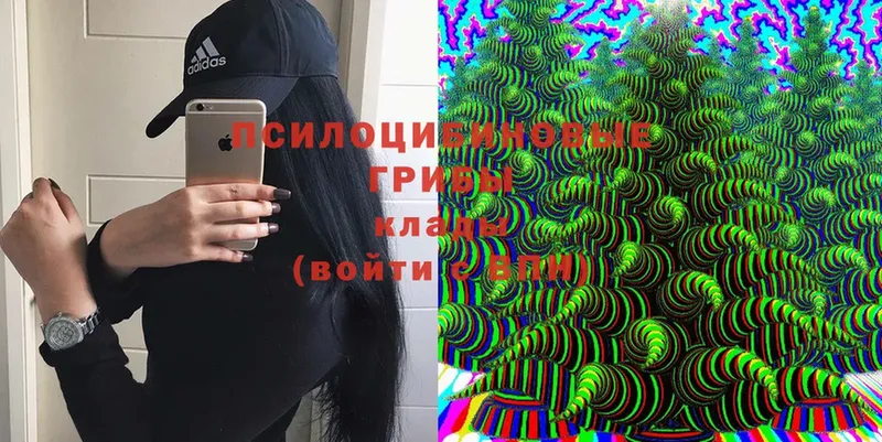 Галлюциногенные грибы Magic Shrooms  Карпинск 